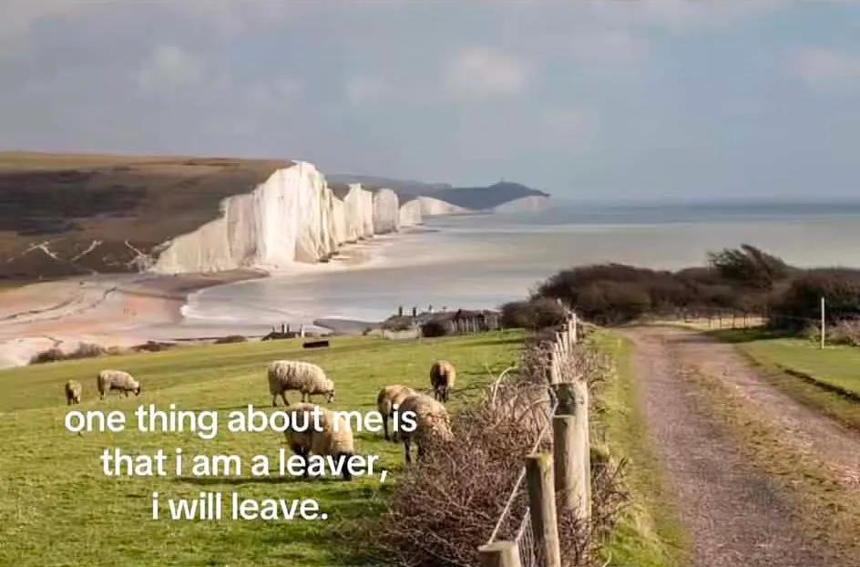 Screenshot from @absolutsilber/TikTok Screenshot from @absolutsilber/TikTok